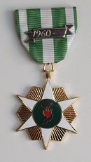 ROV Campaign Medal