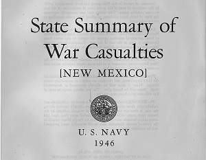 New Mexico Navy Cover Page