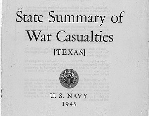 Texas Navy Cover Page